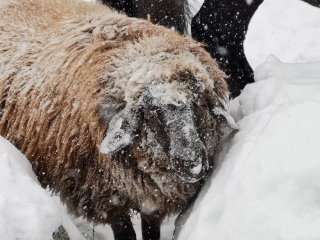 Endlich richtig Winter
