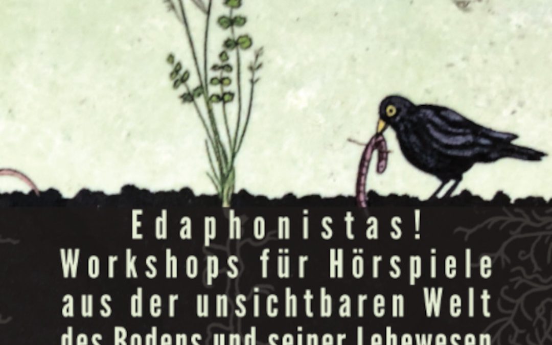 Boden hören – Hörspielworkshop – Edaphonistas