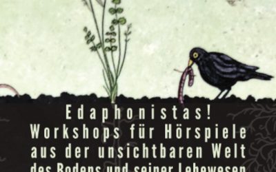 Boden hören – Hörspielworkshop – Edaphonistas